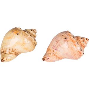 Beachcombers 2.8" Ceramic Conch Shell Salt/Pepper Nautical Coastal Beach Home Kitchen Dining Dinner Table Tabletop Decor Decoration Orange