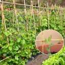 Plant Stakes,3FT Longer Sturdy Natural Bamboo Garden Stakes,GAGINANG 25Pcs Bamboo Sticks Trellis Support for Tomato, Vegetables Beans Trees Climbing Plants