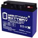Mighty Max 12V 10AH GEL F2 Battery Compatible with Neuton CE5 POWPS12100