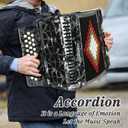 Accordion 31 Key Button Professional Diatonic Concertina with 12 Bass, F/B/E Tuned, Portable Squeezebox Folk Music Instrument for Adults Beginners with Case (Gray)