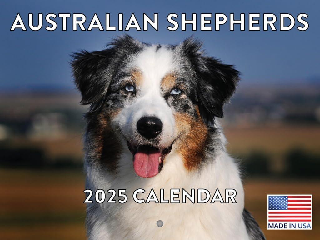 Australian Shepherd Calendar 2025 Monthly Wall Calender 12 Month | American Made In The USA