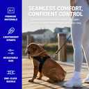 Dog Friendly Co. Dog Harness | Chafe Resistant Webbing, Adjustable Neck & Chest, and Heavy Duty D-Ring | Sturdy, Comfortable, Easy to Use | Sky Blue, Size L