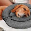 MIDOG Dog Cone, MD-295, Gray, Large