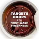 ARM & HAMMER Light In-Wash Scent Booster, No Heavy Perfumes, No Dyes, No Parabens, Peony Blossom Scent, 24 Oz (24 Ounce (Pack of 1))