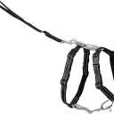 PetSafe 3-in-1 Harness - Comfortable Easy-Walk Dog Chest Harness with Front Leash Attachment to Reduce Pulling, Choking & Gagging - Dog Obedience Gear - Large- Teal