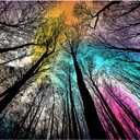Bgraamiens Puzzle-Forest Under Starry Night-1000 Pieces Gradient Magic Colorful Puzzle for Adult,Hard Challenge Puzzle for Adult