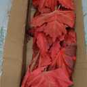 3Pcs Fall Decor Artificial Maple Leaves Branches Fake Fall Leaves Stems Plants Faux Maple Shrubs Leaf Bushes for Home Kitchen Decor Autumn Thanksgiving Fireplace Festival Party Decorations Light Red