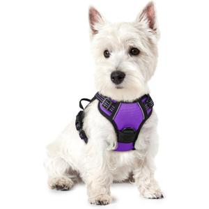 rabbitgoo Dog Harness No Pull with 2 Leash Clips, Adjustable Soft Padded, Reflective Oxford No Choke Pet Vest with Easy Control Handle for Puppy, Purple, XS