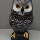 Indoor Camera Owl, Home Security Camera Owl with Rotatable Head, Night Vision, 2-Way Audio, Works with Phone, Decoration for Home