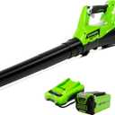 Greenworks 40V (110 MPH / 390 CFM) Cordless Axial Blower, 2.5Ah Battery and Charger Included