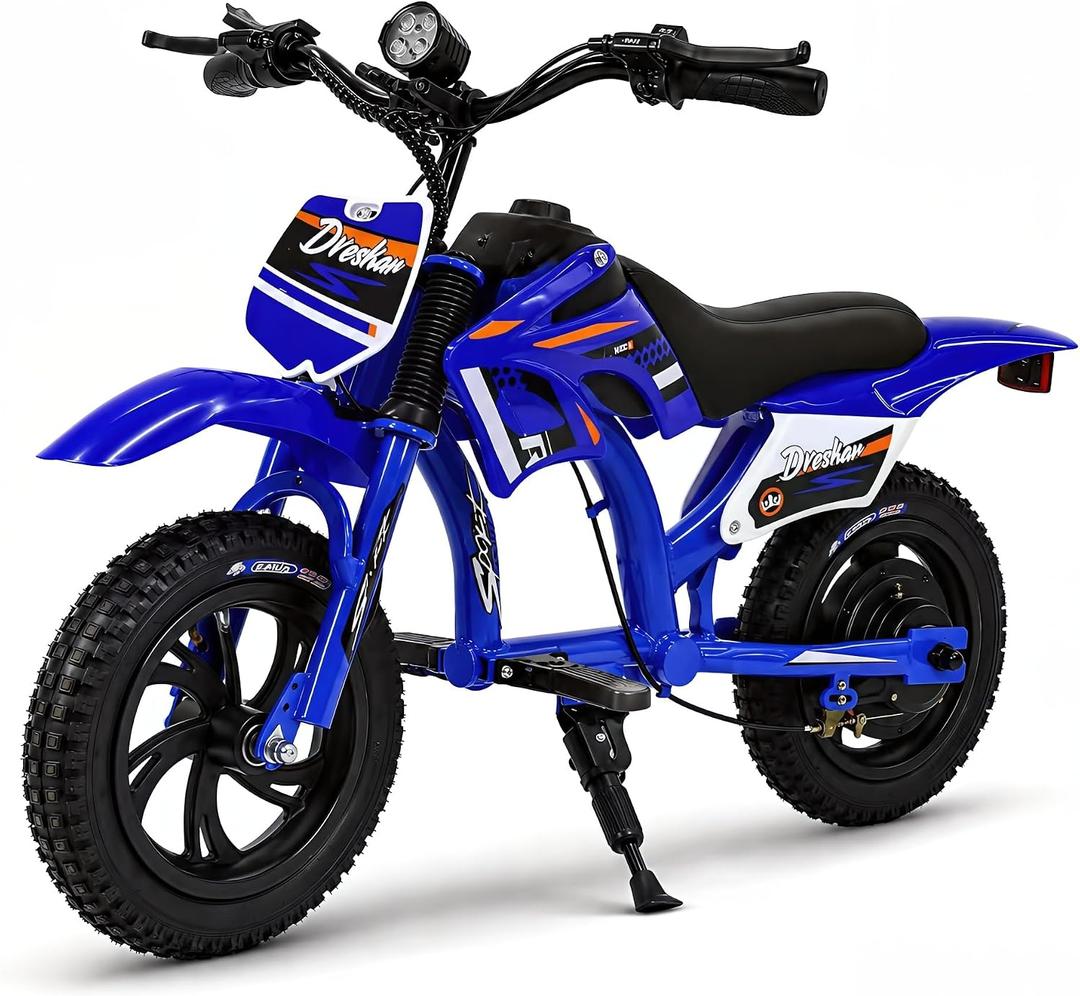 Electric Motorcycle for Kids, 300W Electric Motorcycle, 3-Speed Modes Motorcycle for Kids Ages 3-7, Electric Motocross Off-Road Motorcycle Mini Dirt Motorcycle Blue