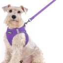 rabbitgoo Dog Harness Small Sized and Leash Set, Step in Soft Light Puppy Vest, Breathable Mesh Pet Harness, Reflective for Outdoor Safe Walking, Purple XXL 