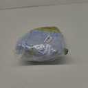 2 Pack 40 Inch Inflatable Globe Giant Beach Balls Inflatable Earth Globe Toys for Adults Summer Pool Game Swimming Beach Party Favor for Geographic Spectrum