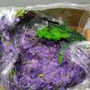 Alotiki 150 Pack Wisteria Hanging Flowers,Fake Hanging Flowers,Wisteria Artificiales Garland for Home Wedding Arch Floral Party Garden Ceremony Outdoor Decor,3.6 Feet Long(150,Purple)