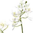 Nearly Natural Orchid & Succulent Garden with Driftwood & Decorative Vase