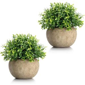 Velener 2Pcs Mini Artificial Boxwood Topiary Faux Plants Indoor- Small Fake Plants Decor Magnolia Home Office Desk Cubicle Farmhouse Kitchen Bookshelf Bedroom Bathroom Decor, Aloe Vera Zen Garden