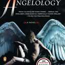 Angelology: A Novel (Angelology Series)