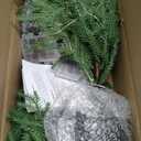 2 Pack 2FT Artificial Norfolk Pine Christmas Tree Real Touch Fake Cedar Tree Xmas Topiary Decor for Front Porch Kitchens Home Indoor Outdoor, (2 PCS)