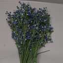 10 Pcs Baby's Breath Artificial Flowers Bulk 3 Branches Faux Baby Breath Plastic Flowers Fake Gypsophila Flower Arrangement for Crafts Fake Flowers Bouquet for Wedding Home Decor Blue Baby Breath
