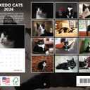 Tuxedo Cat Calendar 2026 Monthly Wall Calender 12 Month Gifts For Tuxedo Cats Lovers| American Made In The USA