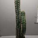 Artificial Cactus 37 Inch Faux Cacti Fake Cactus Saguaro Potted Plants for Indoor Outdoor Home Offices Store Decoration