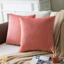 Set of 2 Salmon Pink Colored Solid Velvet Throw Pillow Covers, Cozy Soft Accent Pillow Cases for Sofa Couch Bed and Living Room - 18"x18"