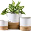 4/6/8 Inch Ceramic Planter Pot with Drainage Hole and Saucer, Pack of 3 Round Flower Plant Pot for Indoor Outdoor, Porcelain Garden Pots for Farmhouse Decorative with Deep Reservoir, White