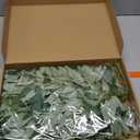 24Pcs Artificial Italian Ruscus Greenery Stems,Silk Greenery Plants Spray Faux Green Leaf Garland Branches Hanging Green Spray Decoration for DIY Wedding Arch, Bouquet,Home Decor