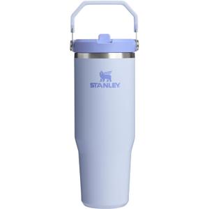 STANLEY IceFlow 2.0 Flip Straw Tumbler with Handle 30 oz | Twist On Lid and Flip Up Straw | Leak Resistant Water Bottle | Insulated Stainless Steel | BPA-Free | Dew Drop
