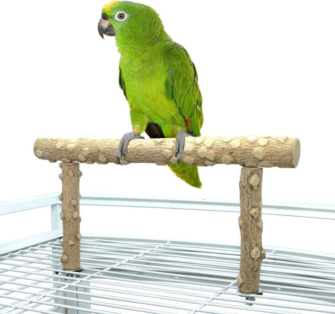 Bird Perch Stand, Bird Cage Top Perch Gym,Natural Wood Parrot Branch for Small Medium Large Parrot (M)