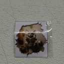 Mouse Reading Book Walls Decal Peel and Stick for Kids Room, Classroom Wall Decor - 3D Effect Wall Mural, Ideal Wall Stickers & Murals, Decorative Decal for Educational Spaces Design 23