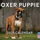 Boxer Puppy Calendar 2025 Boxer Puppies Monthly Wall Calender 12 Month | American Made In The USA