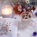 2 x Purple Cat Mug Cute Mugs Glass Double Wall Insulated Glass Espresso Cup, Kawaii Cup, Coffee Cup, Tea Cup, Milk Cup, Best gift for Office and Personal Birthday Christmas (Purple Cat)