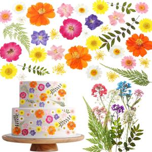 96 Pcs Natural Dried Pressed Flowers for Cake Topper Decorating Cupcake Toppers Cocktails Resin Jewelry Making DIY Art Crafts (Multi Color)