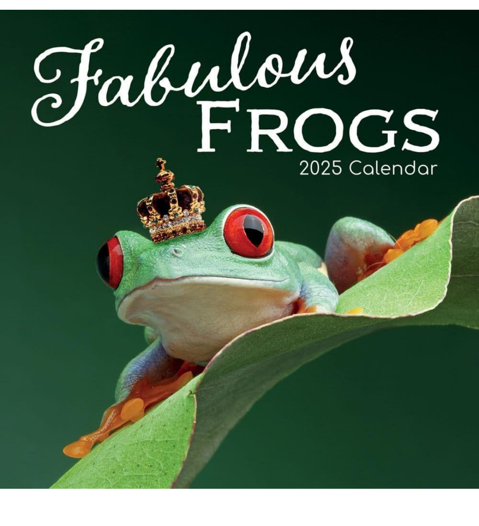 Gifted Stationery Co, Fabulous Frogs 2025 Wall Calendar