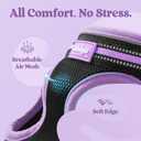 Rabbitgoo Cat Harness and Leash Set for Walking Escape Proof, Adjustable Soft Kittens Vest with Reflective Strip for Cats, Comfortable Outdoor Vest, Black & Light Purple, L
