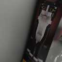 LEGO Ideas Tuxedo Cat - Building Sets for Adults, Ages 18+ - DIY Crafts Kit for Home Decor, Living Room or Bedroom - Gift for Animal Lovers - 21349