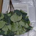 Decorative Books, Set of 2 Elegant Fake Book with Artificial Eucalyptus for Home Decor- Enhance Coffee Table, Bookshelf, Entryway, Mantel Decor-Beautiful Faux Books for Photo Storage, or Keepsake Box