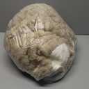 Pet Couch Cover for Dogs Washable Pet-Friendly Dog Sofa Protector for Furniture Boho Pets Mat for Couches and Sofas (27.6x82.7, Khaki Brown)