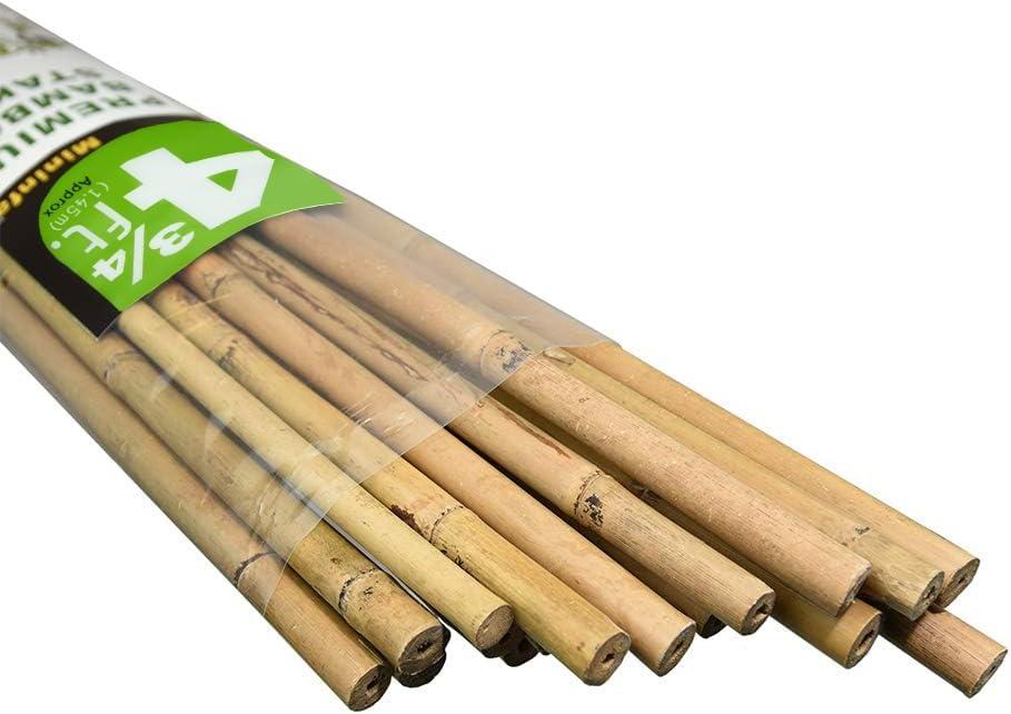 Mininfa Natural Bamboo Stakes 57 Inch (Approx 5 FEET), Eco-Friendly Garden Stakes, Plant Stakes Supports Climbing for Tomatoes, Trees, Beans, 20 Pack