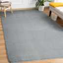 Andecor Soft Area Rug, 4x6 Grey Washable Rugs for Living Room Bedroom, Indoor Fluffy Carpets for Dorm Boys Girls Kids Room Nursery Home Decorations