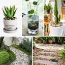 Pebbles Polished Gravel Natural River Rocks Ornamental Pebbles Garden Landscaping Stones Small Decorative Rocks for Fountain Aquarium Plants Vases Landscaping (Mixed Color, 3 LB)