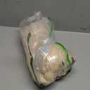 ZALBYUY Puppy Toys with Heartbeat, Puppy Sleep Aid Toy, Small Dog Training Doll for Separation Anxiety Relief, Pets Plush Toys for Dogs Cats (Bear)