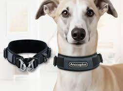 AnccoPlus Comfort Walking Dog Collar Size L Color Grey