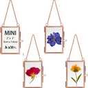 JUXYES Set of 4 Mini Wall Hanging Brass Frames for Pressed Flowers, Double Glass Hanging Picture Artwork Display Frame, Rose Gold Floating Style Gallery Wall Frame for Photo Picture Poster etc, 3x2 Inches (Vertical)