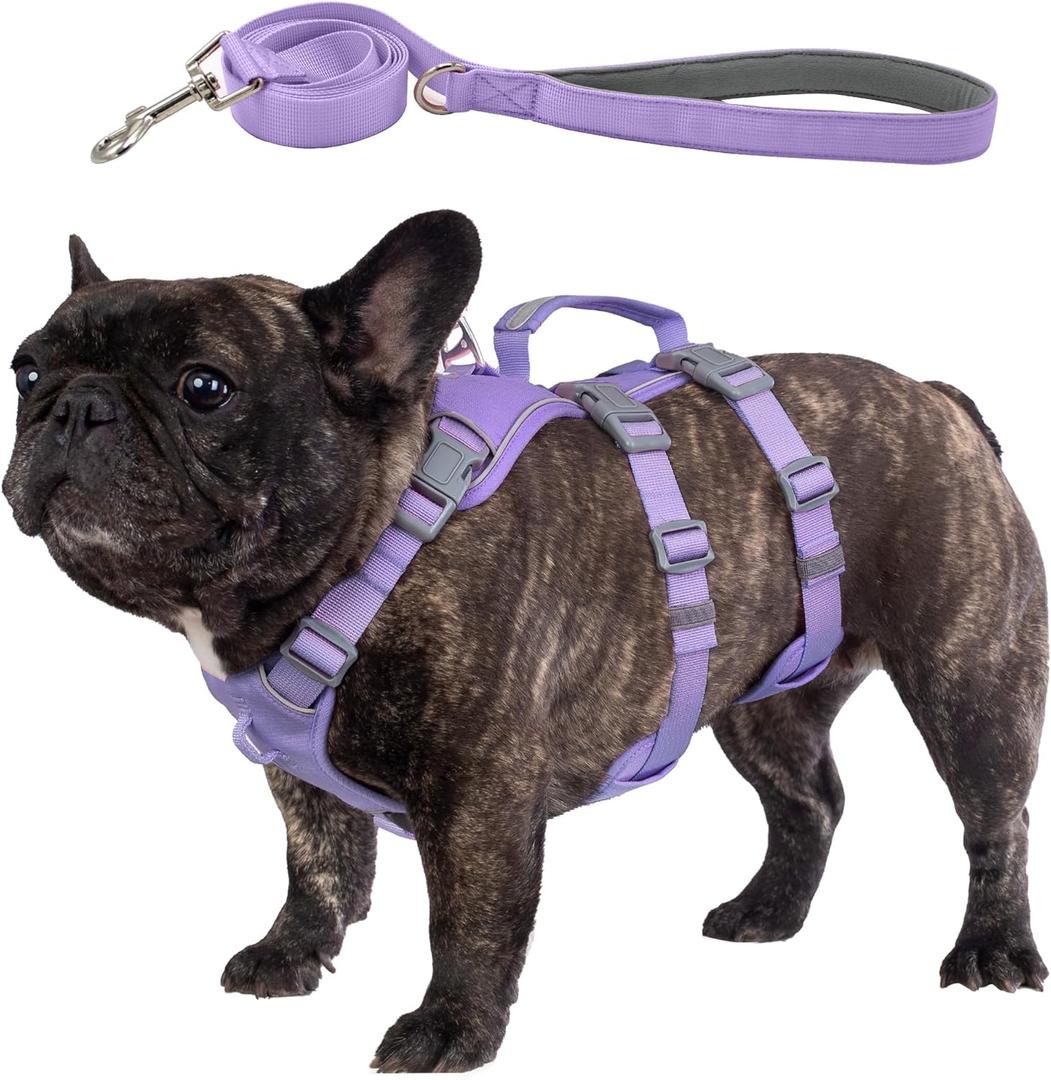 Escape Proof Dog Harness and Leash Set, Lightweight Dog Harness with Lift and Assist Handle, No Pull Reflective Pet Vest for Medium Dogs, Ideal for Puppy Walking and Training (Purple, M)