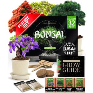 Bonsai Tree Kit Gifts for Men & Women - Grow 4 Bonsai Trees - Unique Gardening Crafts for Adults, DIY Hobbies for Plant Lovers & Gardeners - Unusual Christmas Gift Ideas for Mom & Dad