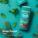 Tom’s of Maine Deep Forest Natural Deodorant for Men and Women, Aluminum Free, No Artificial Fragrances, Dyes, or Preservatives, Baking Soda Free, 48-Hour Odor Protection, 3.25 oz (2 Pack)