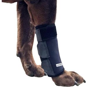 Protect Dog's Joints Get Well Soon Dog Joint Protecter.