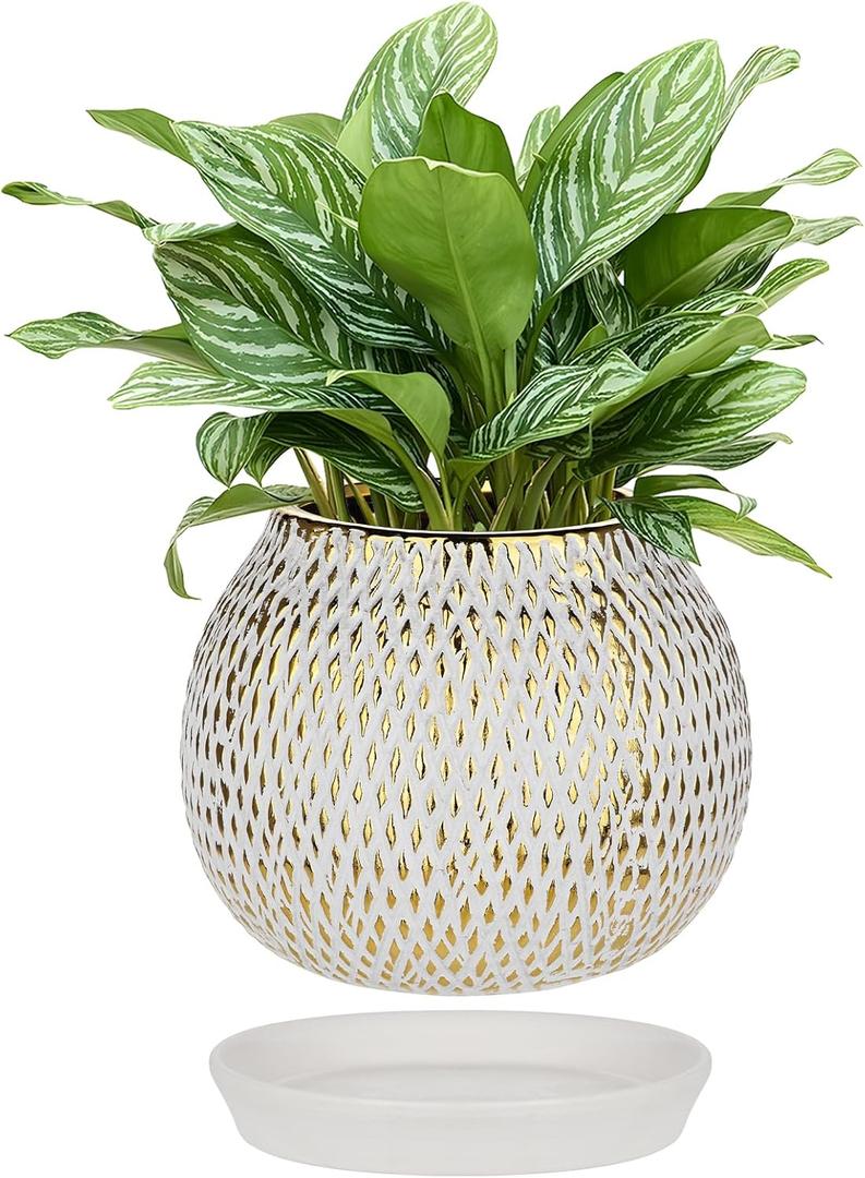 Ceramic Plant Pots for Plants Indoor 6.1 Inch Round Gold and White Flower Pot Gilded Decorative Planter with Drainage Hole and Saucer Modern Ceramic Pot for Succulents Orchids Cactus Herbs Home Decor, Medium